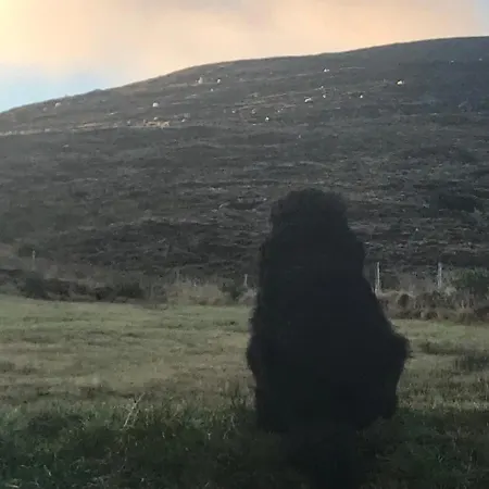 Carraig Privat bolig Derreen West