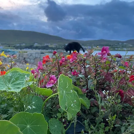 Carraig Derreen West