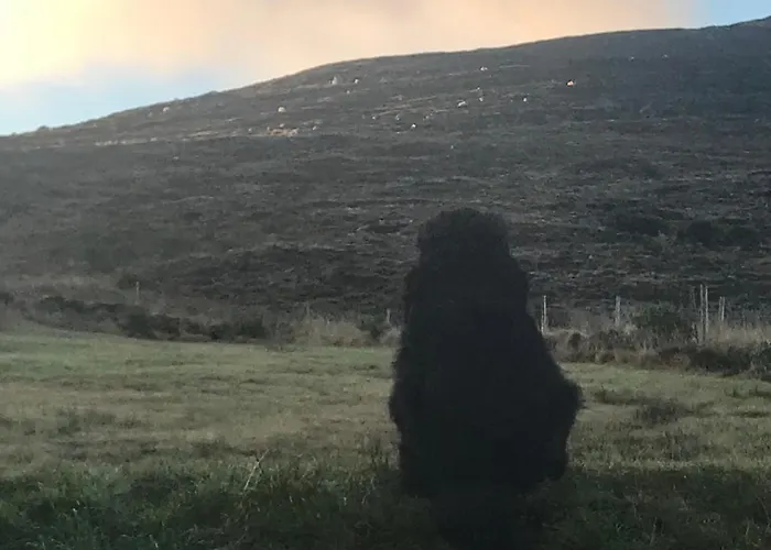 Carraig Séjour chez l'habitant Derreen West